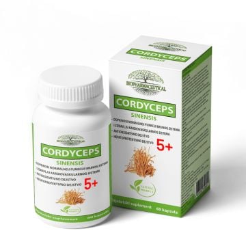 CORDYCEPS 5+ CPS A60