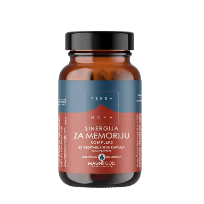 TERRANOVA SINERG.MEMORIJA A50