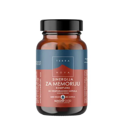 TERRANOVA SINERG.MEMORIJA A50